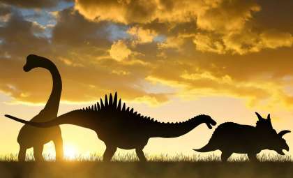Meet Epidexipteryx: The Tiny Dinosaur That Defies Expectations