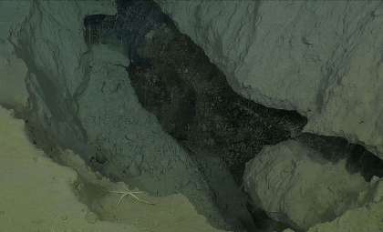 Uncovering Unexpected Contemporary Formations on the Arctic Seafloor