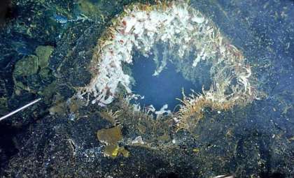 Gigantic Submarine Volcano Near Oregon Poised for Massive Lava Eruption, Scientists Report