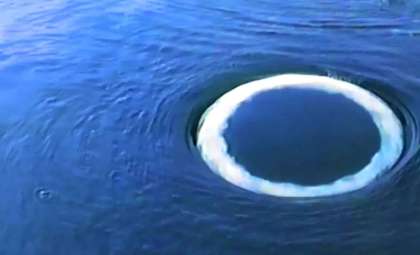 Humpback Whales Craft Perfect Bubble Rings: A Unique Form of Communication?