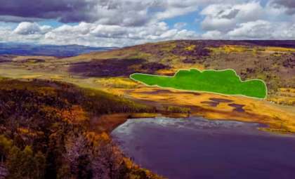 Utah’s Giant Aspen Colony at Risk of Disappearing Amid Multiple Threats