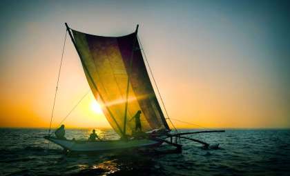 Ancient Mariners Crossed the Pacific with Rice 3,500 Years Ago
