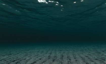 Scientists Discover Remarkable Deep-Sea Ecosystems at Over 31,000 Feet Depth