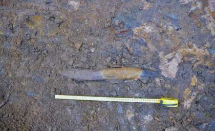 Ancient Wooden Implements Discovered in China Suggest Denisovan Craftsmanship