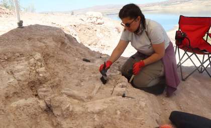 7.7-Million-Year-Old Mammoths and Giraffes Unearthed Near Turkey’s Yamula Dam