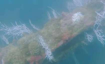 New Evidence Suggests Atlantis May Lie Beneath Waters Near Spain’s Coast