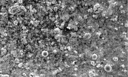 This Bacterium Converts CO₂ into Solid Rock in Mere Hours, Offering a New Carbon Capture Method