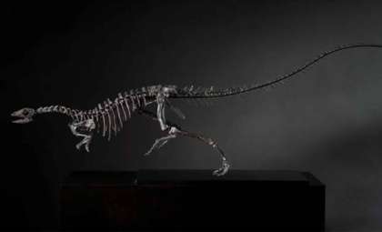 Meet Enigmacursor: The Lightning-Fast Jurassic Dinosaur No Bigger Than a Dog