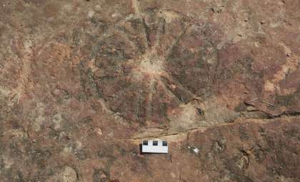 Ancient Rock Art Unearthed Beside Dinosaur Tracks in Brazil Dates Back 9,000 Years