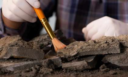 Ancient DNA Reveals 214 Pathogens Dating Back Tens of Thousands of Years