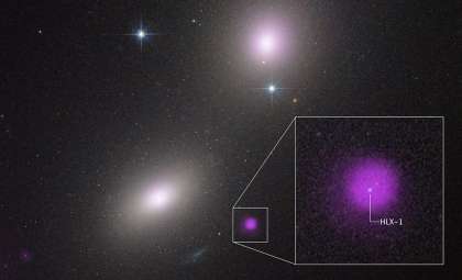 Rare Intermediate-Mass Black Hole Discovered in a Remote Galaxy Cluster