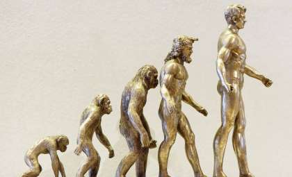 New Fossil Evidence Revises Timeline of Mammalian Upright Walking Evolution