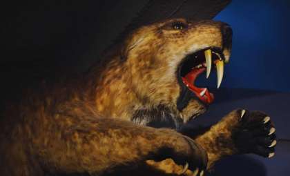 Unveiling a Massive Saber-Toothed Cat That Hunted Giant Prey 9 Million Years Ago
