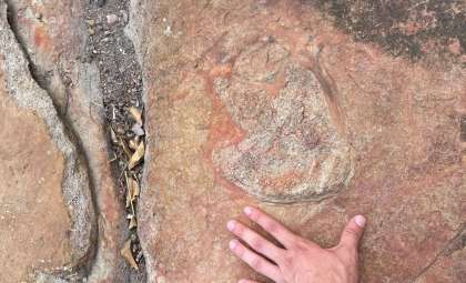 Ancient Rock Carvings Found Beside Dinosaur Footprints in Brazil Stun Experts