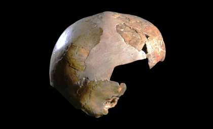 Ancient Skull Reveals Early Human-Neanderthal Hybrid and Burial Rituals