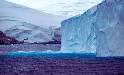 Transformations in Antarctic Phytoplankton Signal Wider Climate Consequences