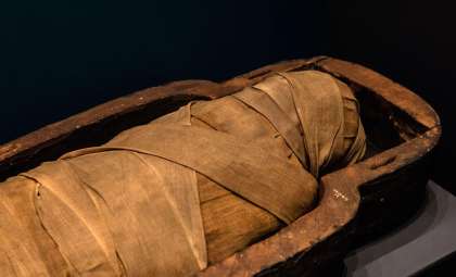 Ancient Tattooed Mummy from Siberia Reveals Skilled Craftsmanship After 2,000 Years