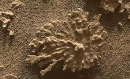 Curiosity Rover Uncovers Coral-Like Rock on Mars, Shedding Light on Ancient Water Activity