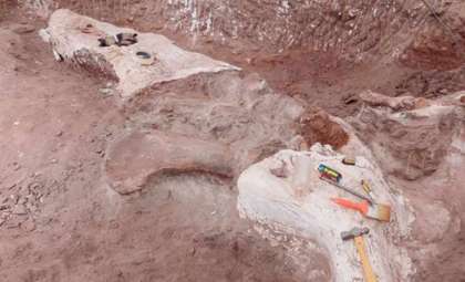 New 95-Million-Year-Old Herbivorous Dinosaur Discovered in Patagonia