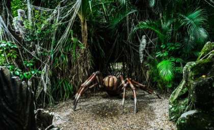 Giant Prehistoric Trapdoor Spider Unearthed in Australia’s Miocene Fossil Record