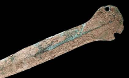 Ancient Bronze Age Dagger Unearthed by Family During Woodland Stroll in Germany