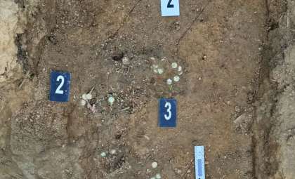Unexpected Discovery of 900-Year-Old Silver Coins Shines Light on Medieval Bohemia