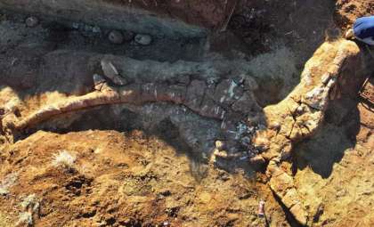Nearly Complete Ichthyosaur Fossil Discovered in Australian Outback