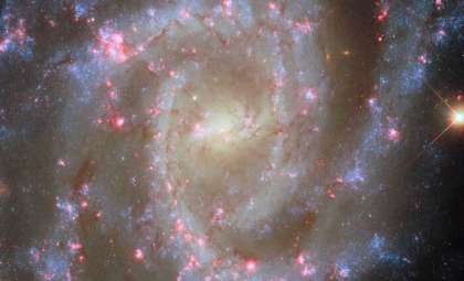Hubble Captures Stunning Pink Nebulae in Spiral Galaxy 35 Million Light-Years Away
