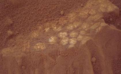 Curiosity Rover Uncovers Egg-Like Rock Formations on Mars: Insights into Ancient Martian Life?