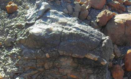 Ancient South African Rock Art May Depict an Extinct Prehistoric Creature