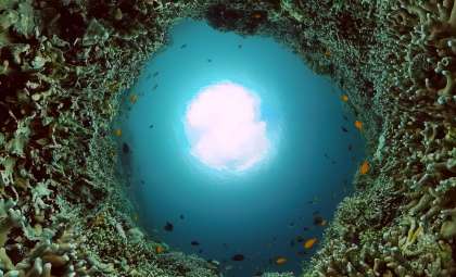 Massive Pacific Underwater Hydrothermal City Dwarfs Atlantic's Lost City