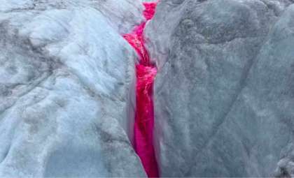 Scientists Dye Rhône Glacier Meltwater Pink to Track Rapid Ice Loss