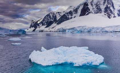 Antarctic Algae That Once Cool Earth Are Disappearing Amid Ice Loss