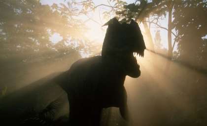 Ecuador’s Amber Unlocks Secrets of a Lost Cretaceous Forest