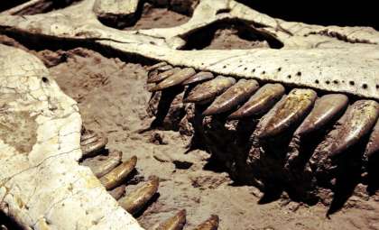 Ancient Welsh Fossil Uncovers One of the Largest Triassic Predators Preceding T. Rex