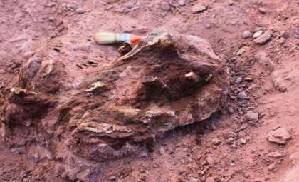 Unearthing Llukalkan: The Roaring Predator of Ancient Patagonia
