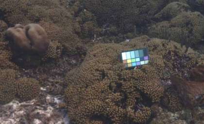 MIT Develops Innovative Tool for Crystal-Clear Underwater Imaging