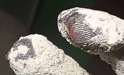 New Fingerprint Evidence Revives Debate Over Peru’s Mysterious 'Alien' Mummies