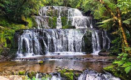 Unveiling the Stunning Waterfall-Climbing Feat of Bumblebee Catfish in Brazil