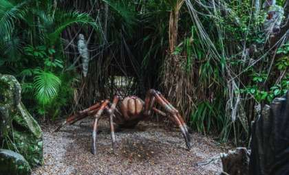 Ancient Giant Spider Unearthed in Australia Redefines Fossil Discoveries