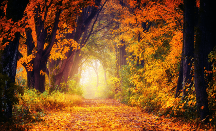 Everything You Should Know About the 2025 Autumnal Equinox