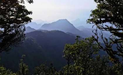São Tomé and Príncipe Becomes World’s First Fully Protected Biosphere Nation