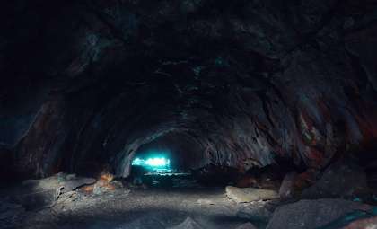 Newly Identified Miniature Fossil Shark Discovered Deep Within Mammoth Cave