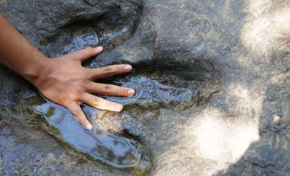 Remarkably Preserved Dinosaur Footprints Discovered After Devastating Texas Floods