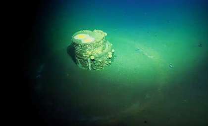 Decades-Old Ocean Dumping Near California Is Releasing a Dangerous Chemical Threat Beyond DDT