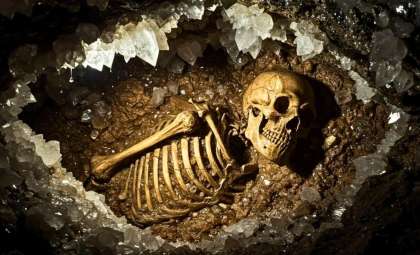 Ancient Fossil Evidence Unveils Neanderthals’ Diverse and Sophisticated Diet
