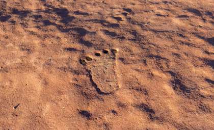 Ancient Footprints in New Mexico Reveal Humans Roamed North America 23,000 Years Ago