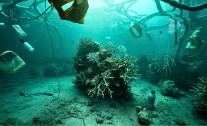 Earth Crosses New Limits as Ocean Acidification Threatens Global Ecosystems