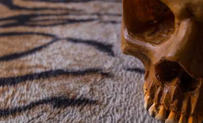 Ancient Teeth Unlock Clues to Why Humans Experience Extended Childhoods