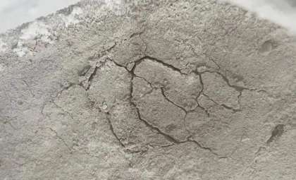 Perseverance Rover Uncovers an Unusual ‘Spider Egg’ Rock Formation on Mars